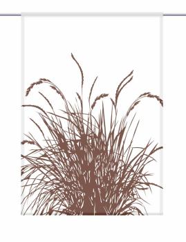 Scheibenhaenger-cereal--24-Coffee-blanco-eckig